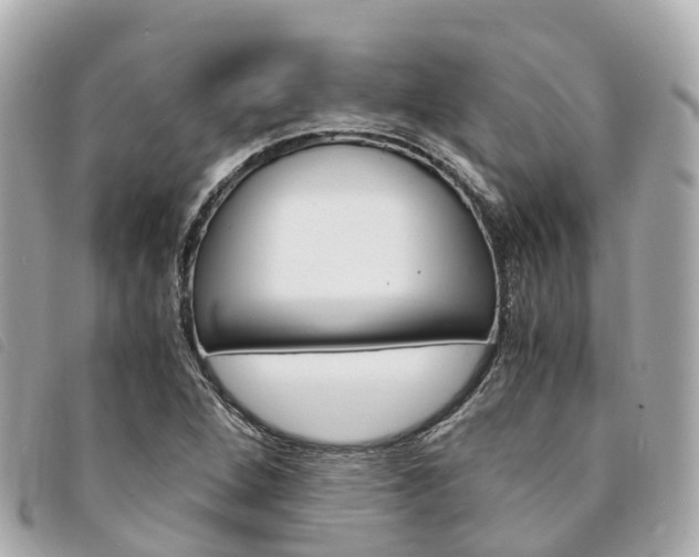 X0000094221264200710260946