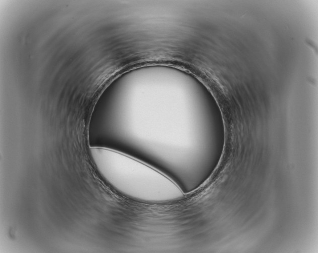 X0000094221265200710260946