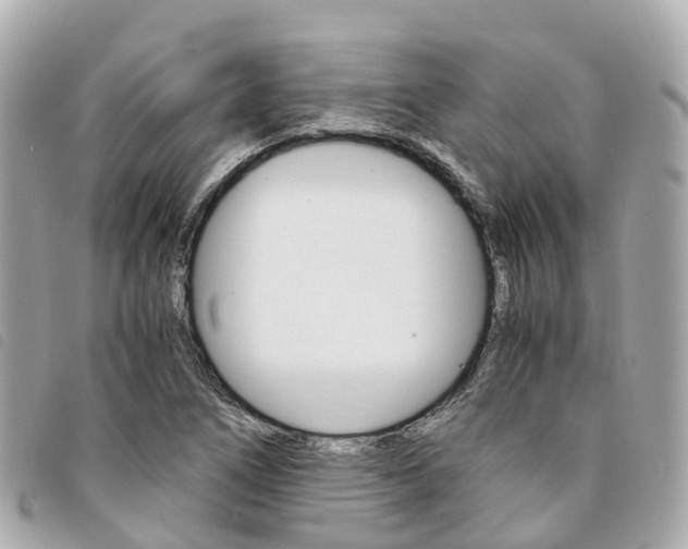 X0000094221266200710260946