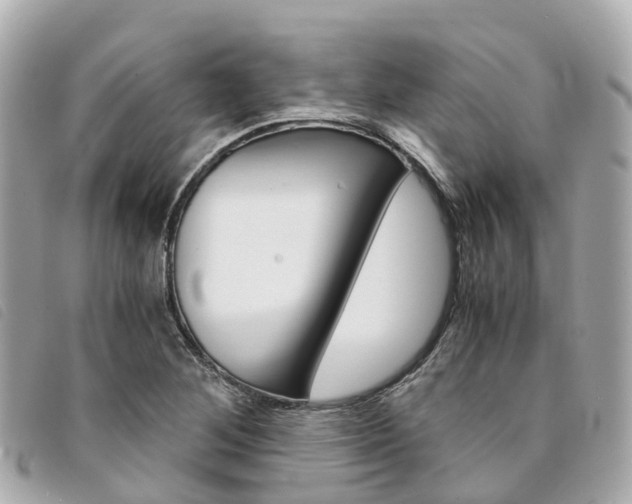 X0000094221268200710260946
