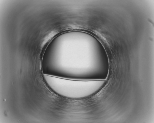 X0000094221269200710260946