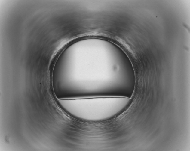 X0000094221270200710260946