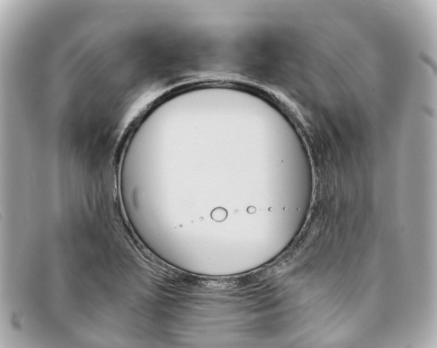 X0000094221271200710260946