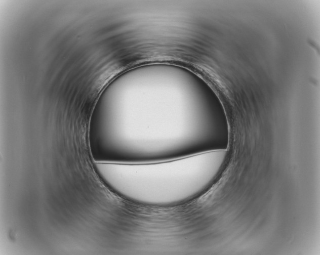 X0000094221273200710260946