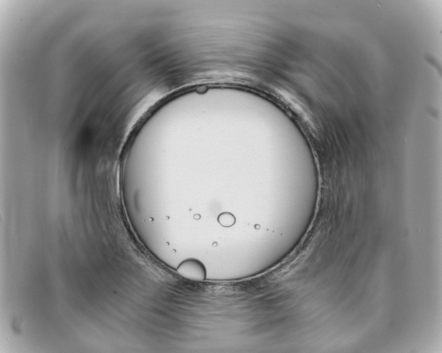 X0000094221275200710260946