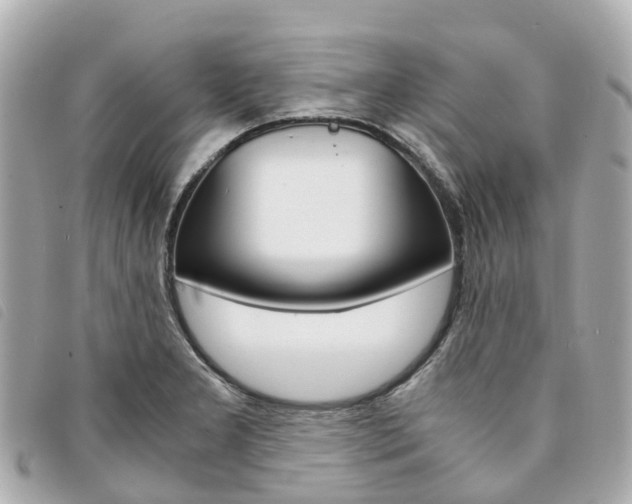 X0000094221277200710260946