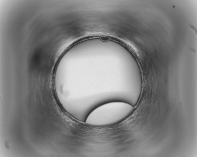 X0000094221279200710260946