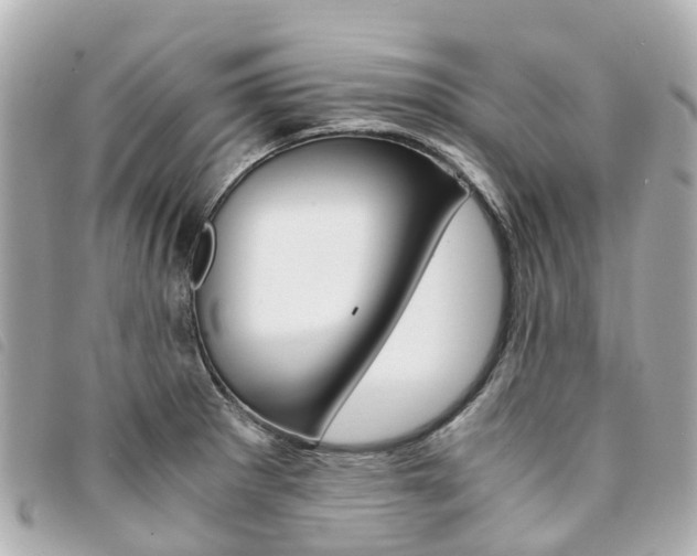 X0000094221281200710260946
