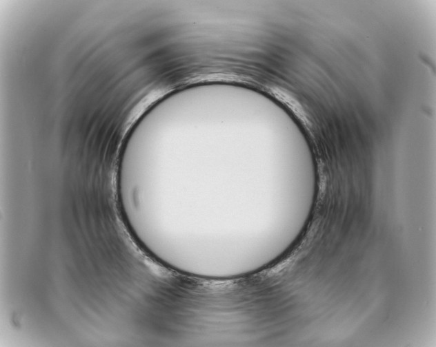 X0000094221282200710260946