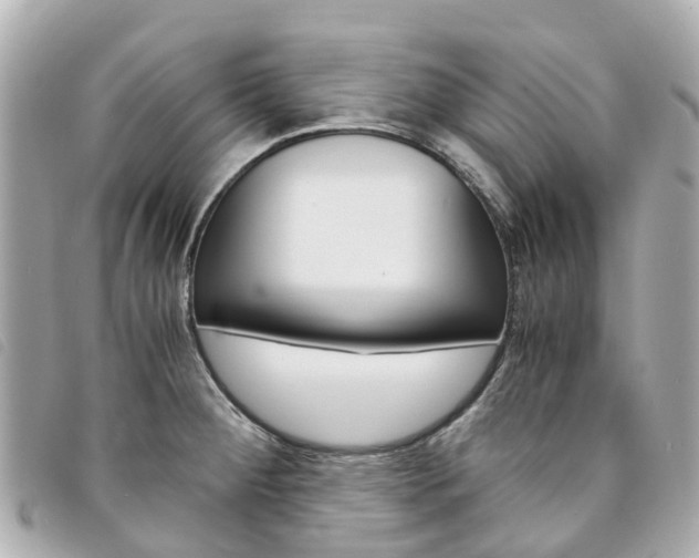 X0000094221284200710260946