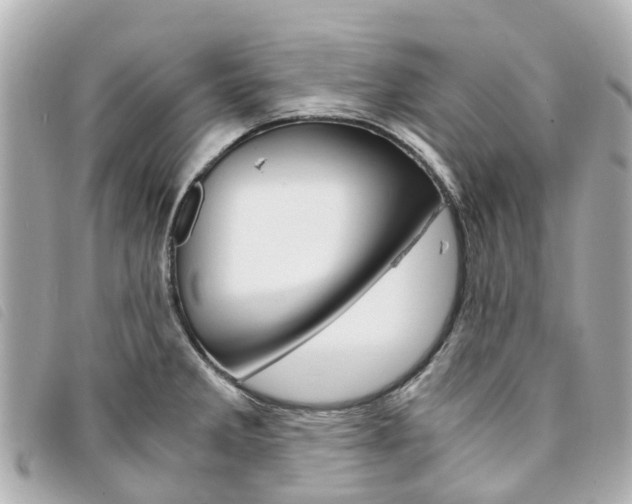 X0000094221285200710260946