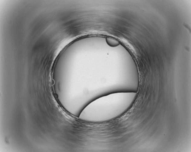 X0000094221287200710260946