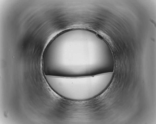 X0000094221288200710260946