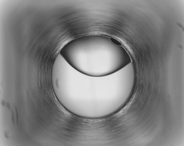 X0000094221289200710260946