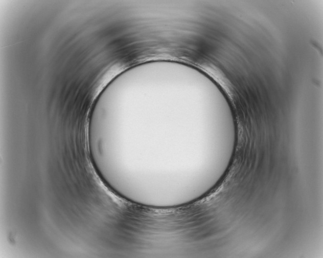 X0000094221290200710260946