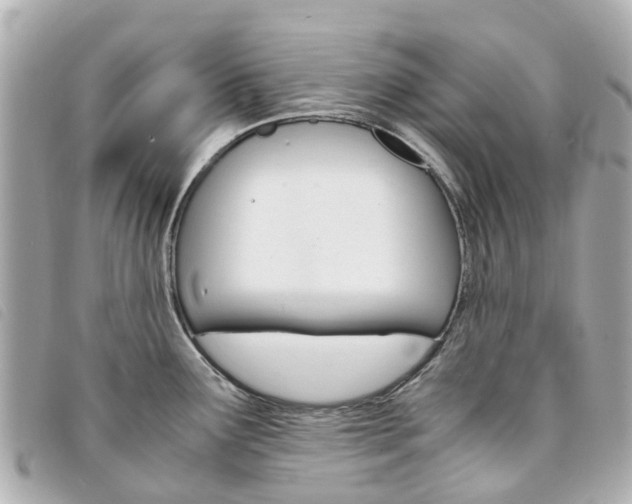X0000094221291200710260946