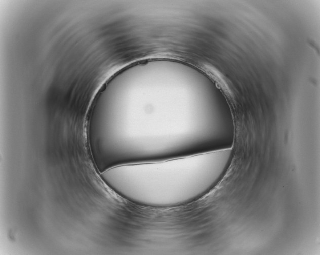 X0000094221292200710260946