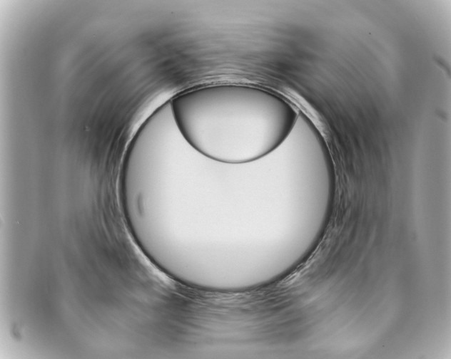 X0000094221293200710260946