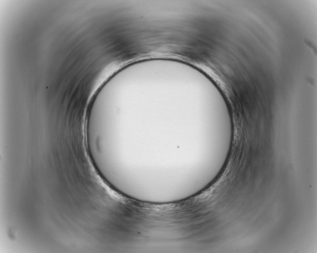 X0000094221294200710260946
