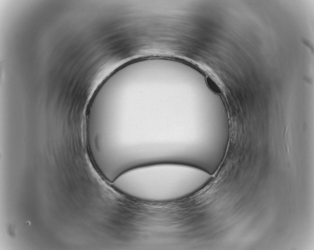 X0000094221295200710260946