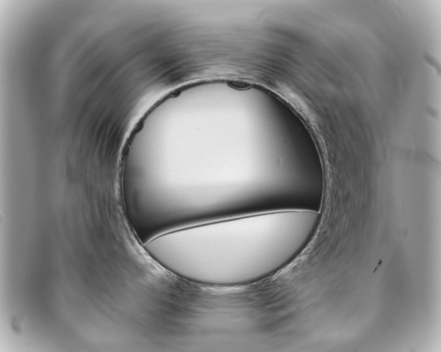 X0000094221296200710260946