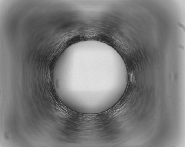 X0000094221299200710260946