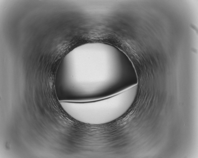 X0000094221300200710260946