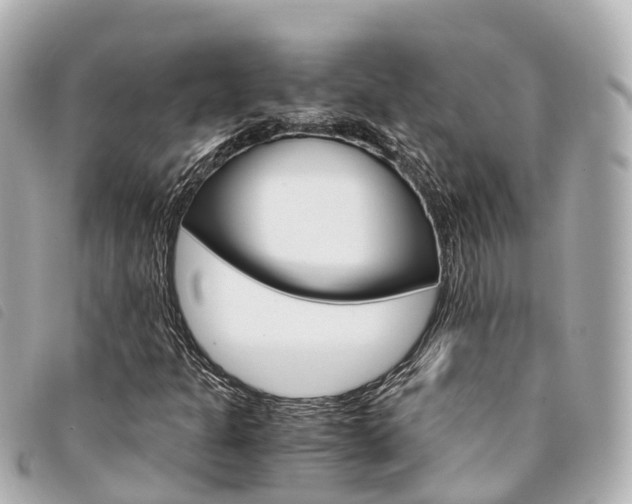 X0000094221301200710260946