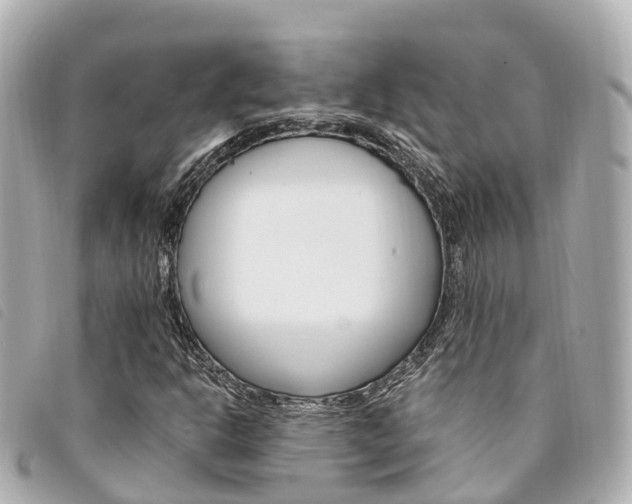 X0000094221302200710260946