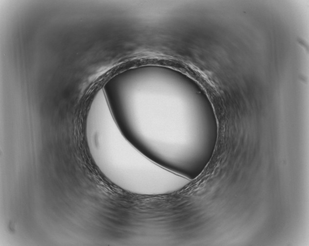X0000094221303200710260946