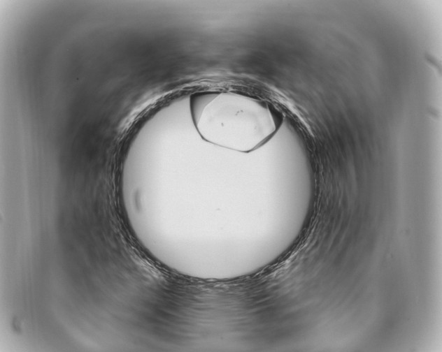 X0000094221304200710260946