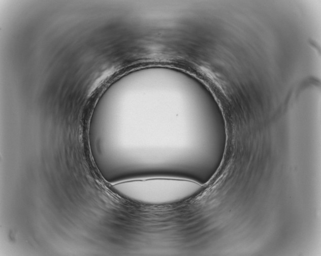 X0000094221307200710260946