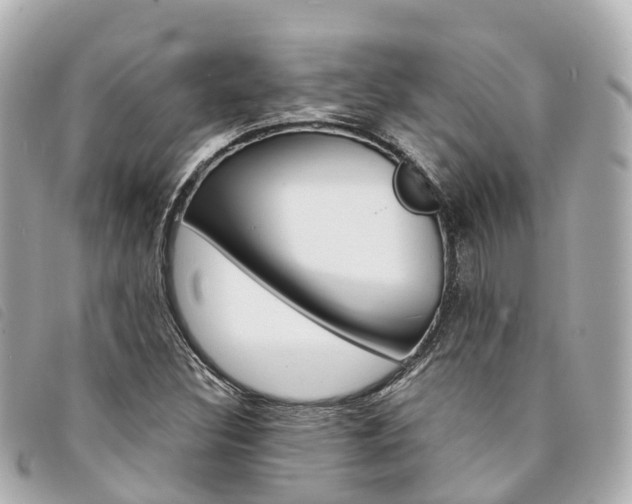 X0000094221308200710260946