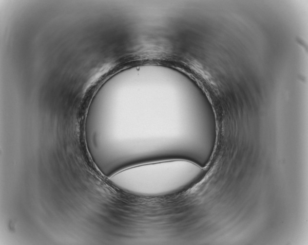 X0000094221309200710260946