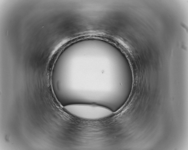 X0000094221310200710260946