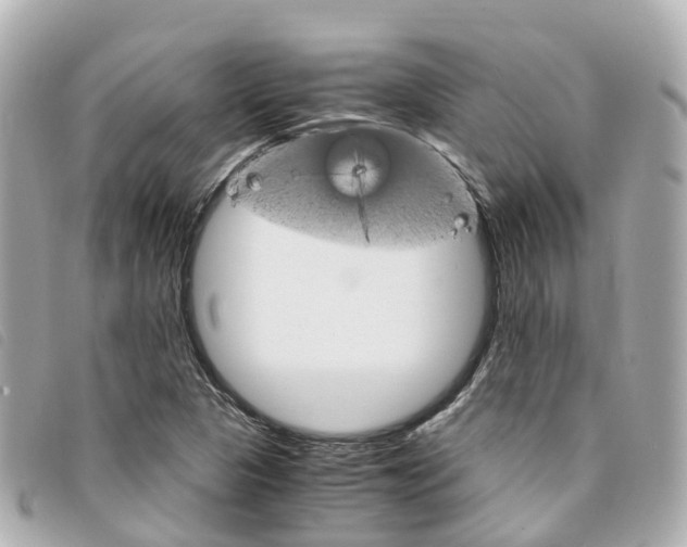 X0000094221313200710260946