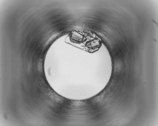 X0000094221314200710260946