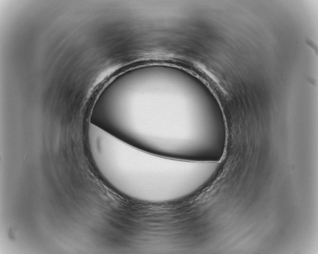 X0000094221315200710260946