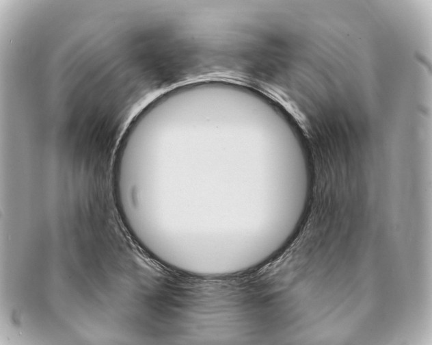 X0000094221316200710260946