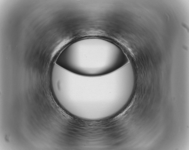 X0000094221317200710260946
