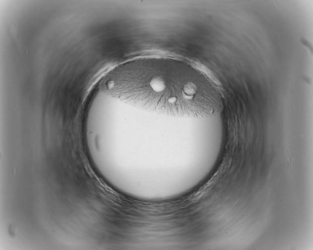 X0000094221318200710260946
