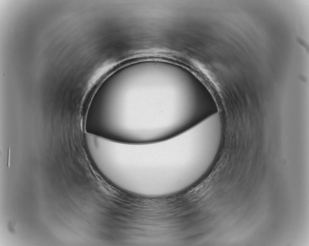 X0000094221320200710260946