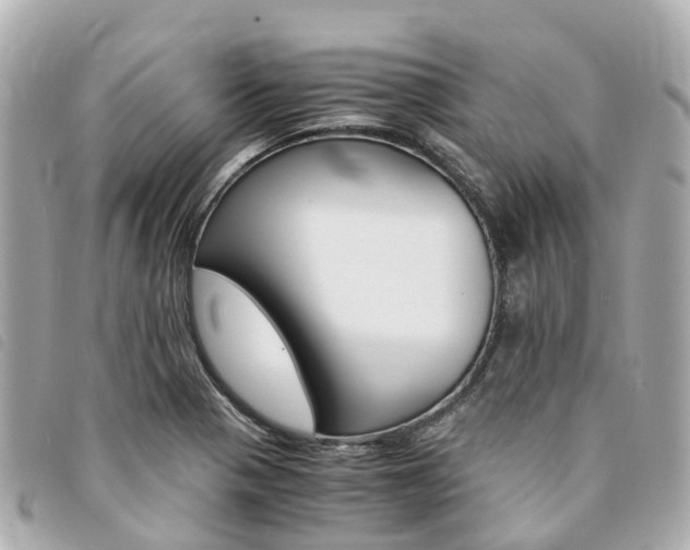 X0000094221321200710260946