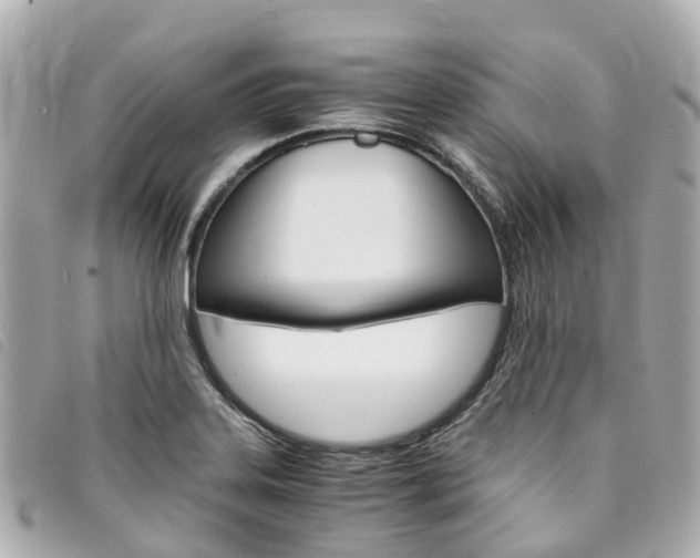 X0000094221323200710260946