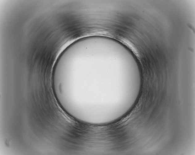 X0000094221324200710260946