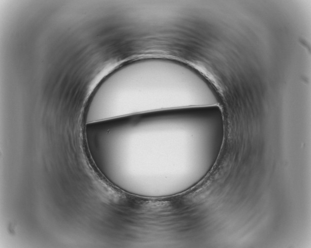 X0000094221325200710260946