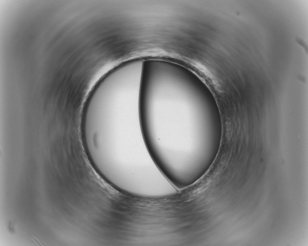 X0000094221326200710260946