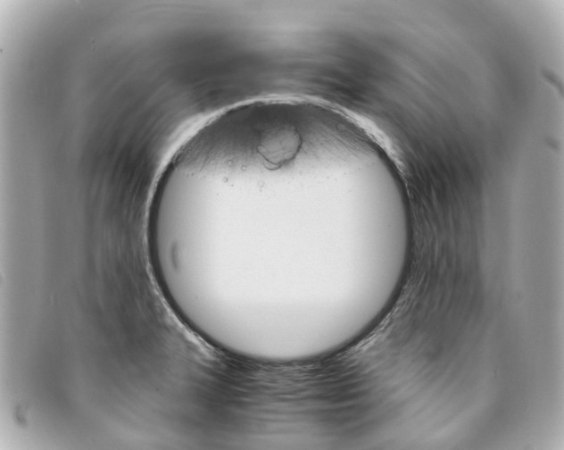 X0000094221327200710260946