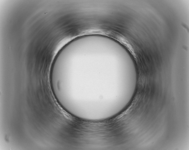 X0000094221328200710260946