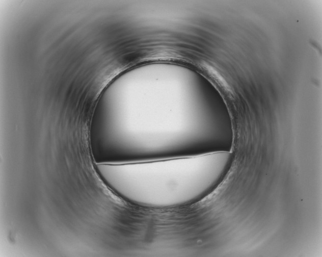 X0000094221329200710260946